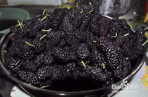 吃桑葚的好处和注意事项