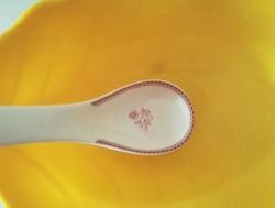 霜降就吃冰糖霜球