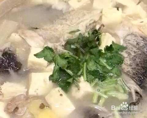 怎么做鲜美鱼头豆腐汤