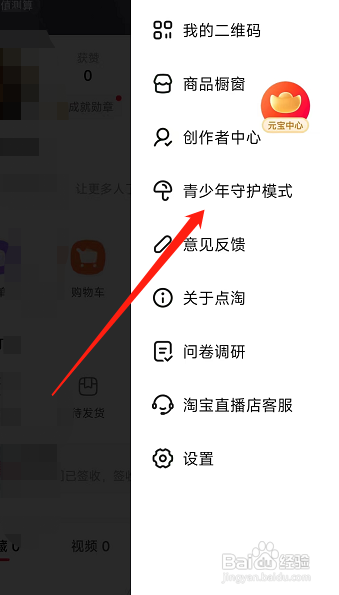 点淘APP怎样开启青少年守护模式