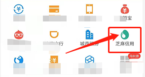 支付宝怎么查看信用月报？
