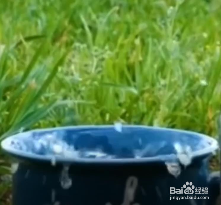 如何拍网红照,教大家几个妙招