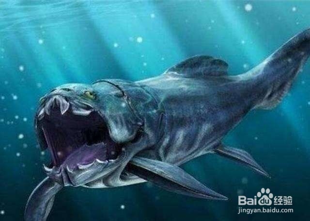 侏罗纪最强的海洋生物是哪些？强在哪？
