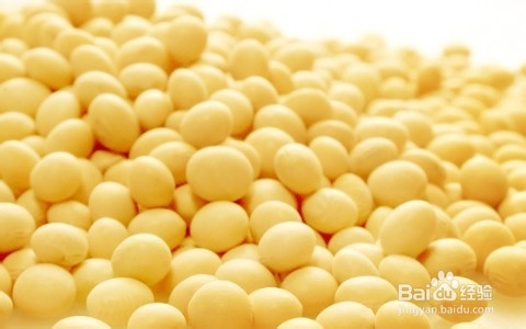 让你不得不瘦的几种刮油食品