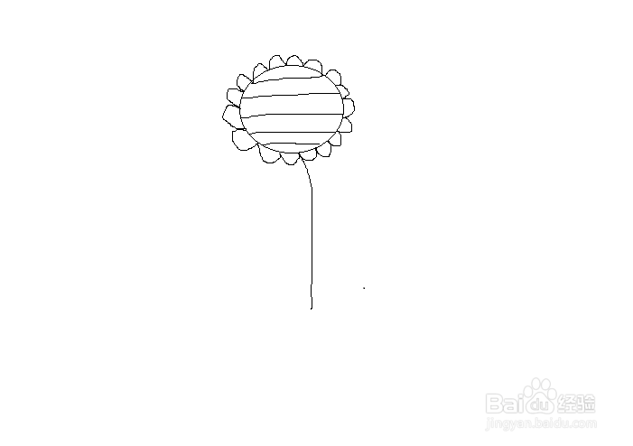 简笔画之向日葵