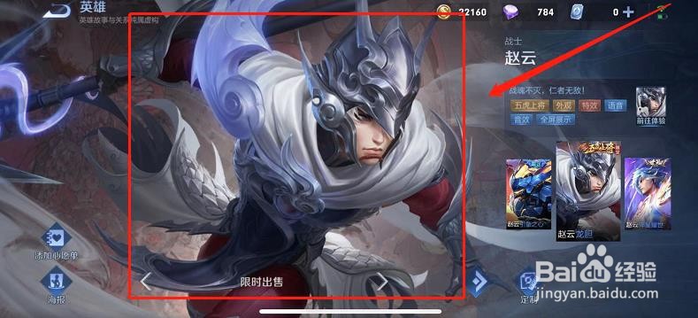 如何查看王者荣耀中赵云的龙胆皮肤图片？