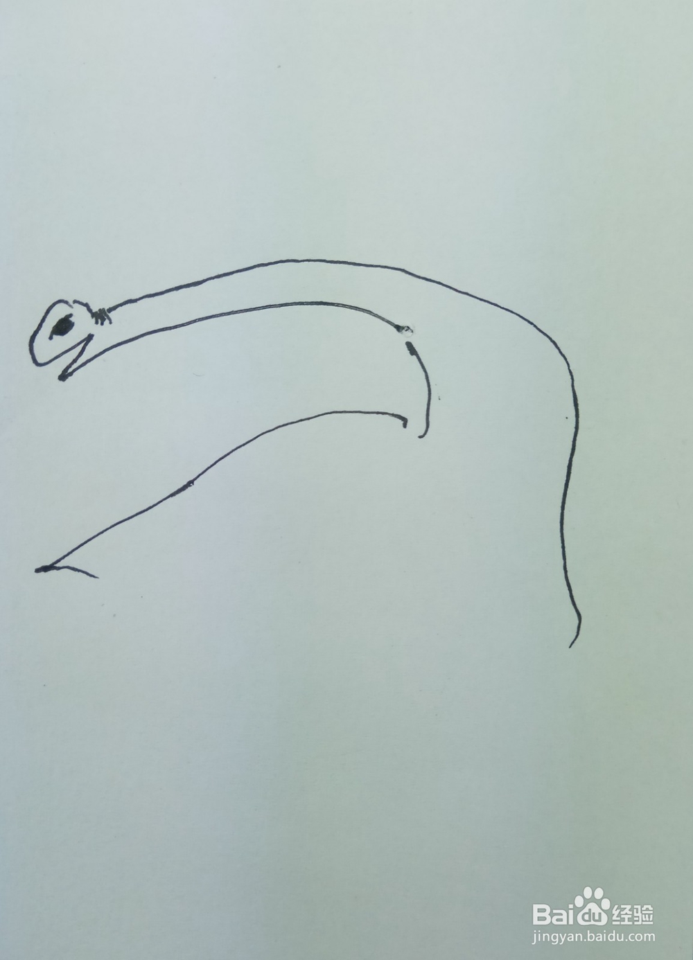 怎样画简笔画回头张望的恐龙?