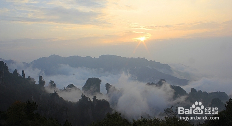深圳到张家界自助游