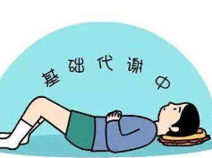 <b>怎么提高身体的基础代谢，瘦的快</b>