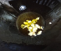 素烧四季豆的做法