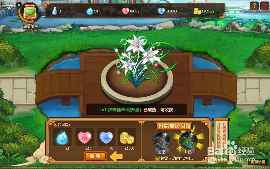 玫瑰小镇玫瑰元素怎么得？