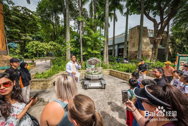 新加坡旅游简记12