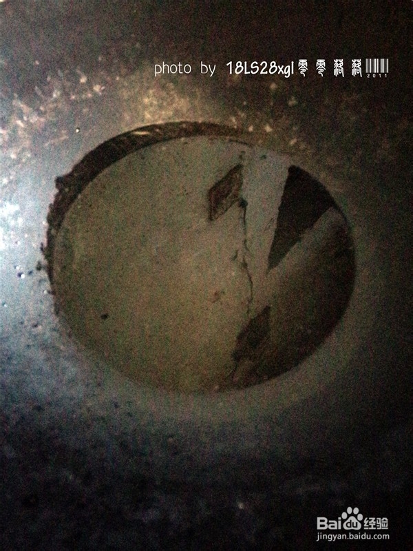 美味家常菜:苦瓜炒蛋