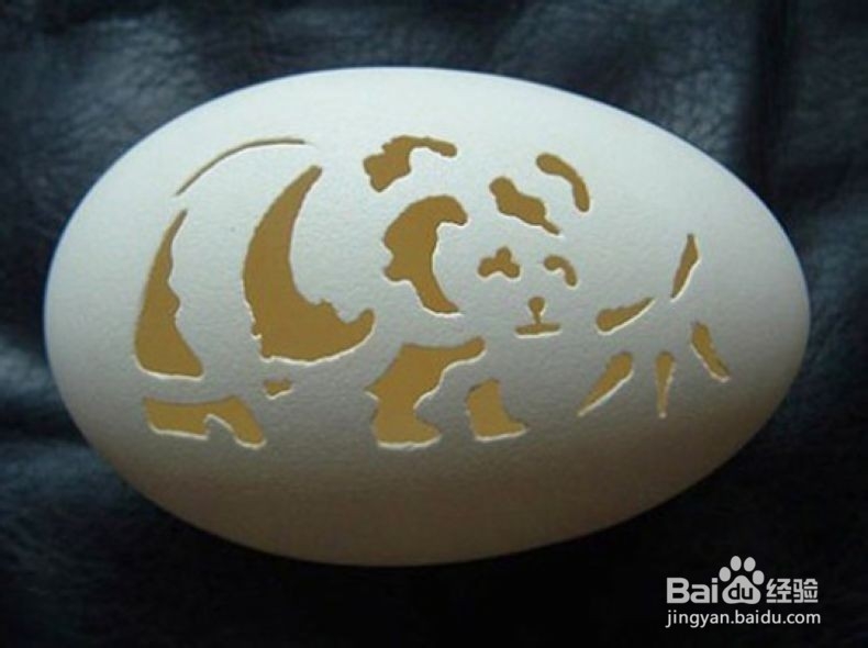 蛋壳的神奇用处