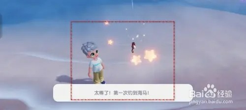 心动小镇怎样钓海马