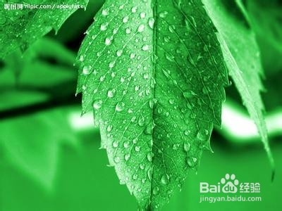 彩虹有几种颜色?