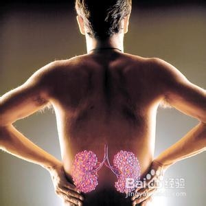 肝肾综合征的症状是什么样的