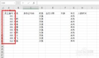 怎么在excel工作表中录入数字编号(二)