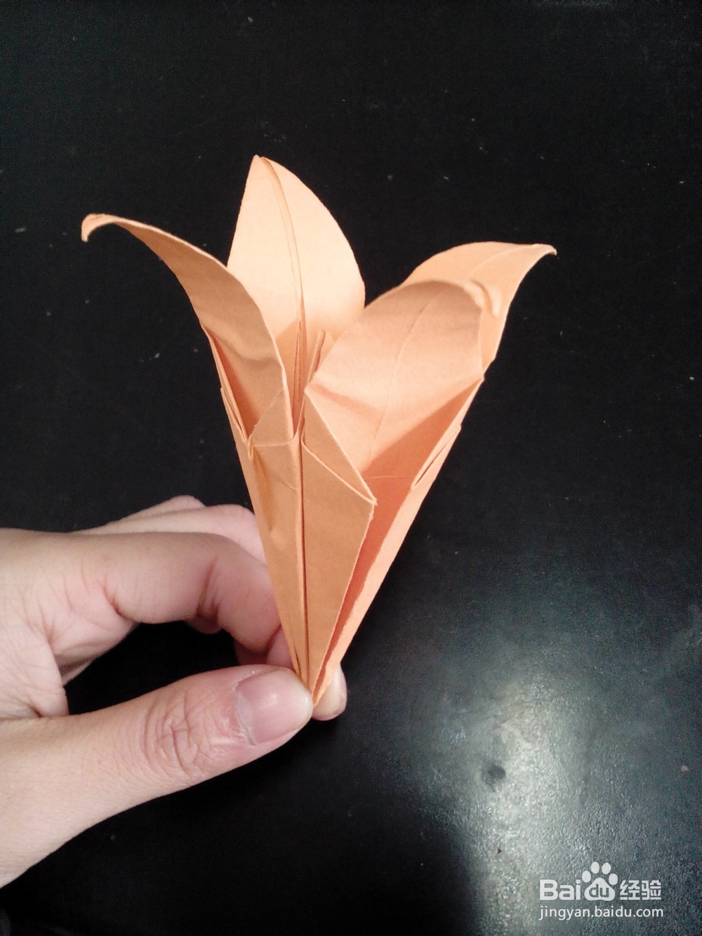 如何折纸花：[5]百合花球怎么做？