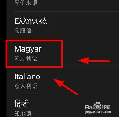 iPhone14如何设置Safari浏览器的语言为匈牙利语