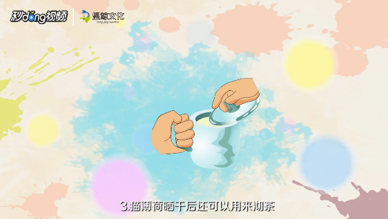 猫薄荷怎么用