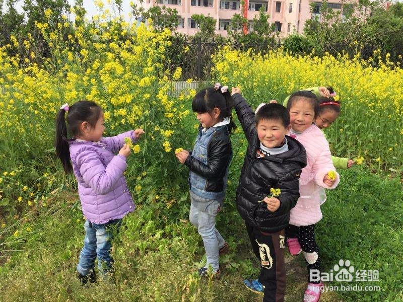 春天该领孩子去哪里玩?