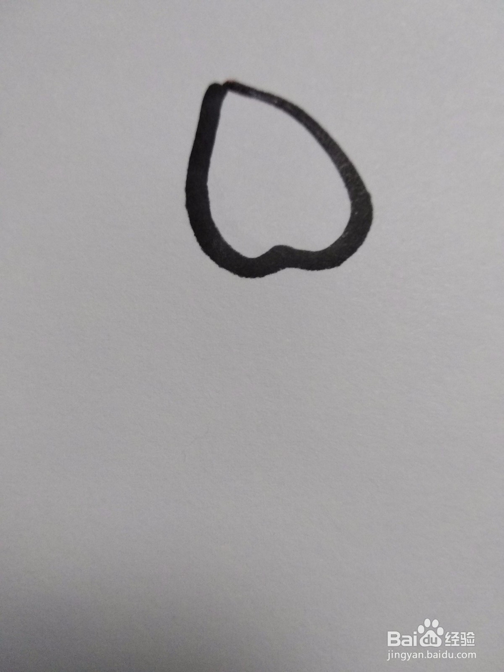 憨态可掬小海狮简笔画