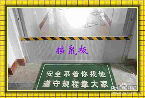 学校食堂如何防鼠