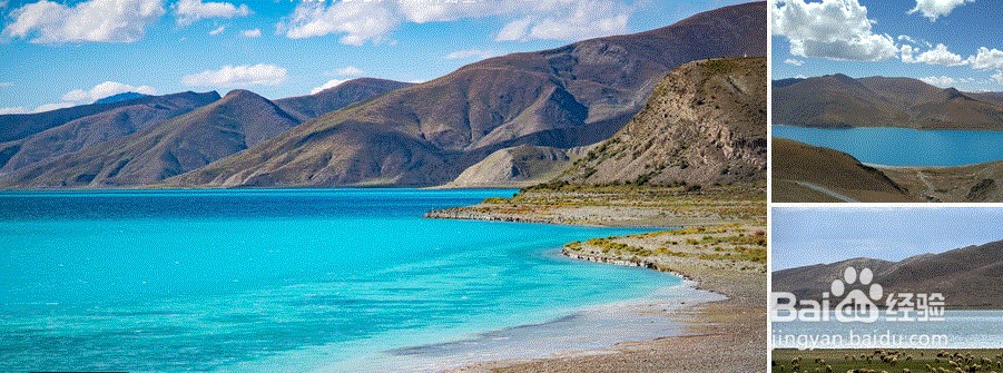 西藏周末去哪儿