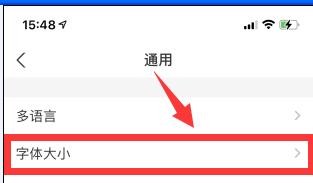 支付宝中的字体怎么变大