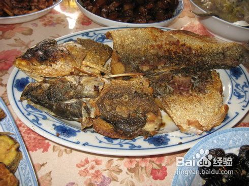 梦想的阳光生活