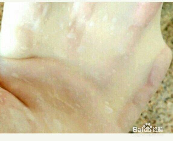 看完就会的红豆面包