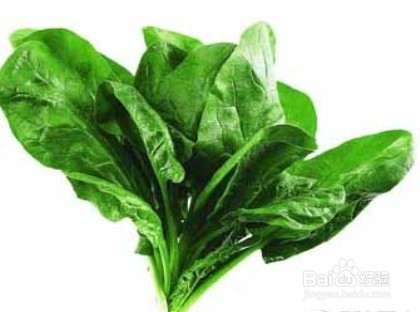 白领缓解压力 饮食调理有妙方