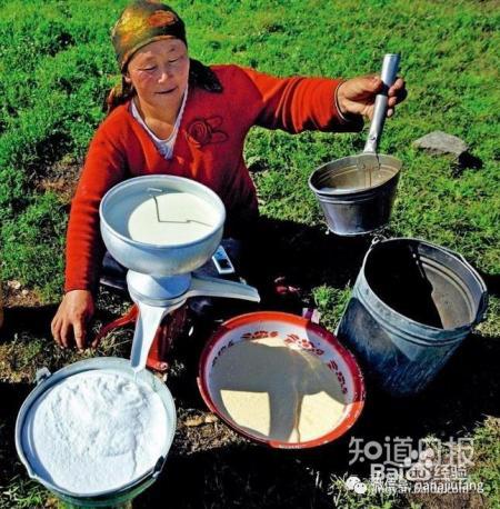 酿酒技术-乳酒文化与制作方法