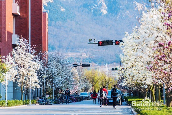 【校园指南】山东科技大学天气应对篇