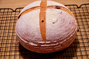 蔓越莓全麦软欧包的做法