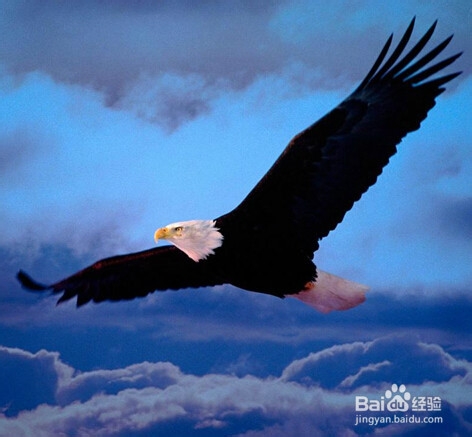 南城百货公司面临的财务风险