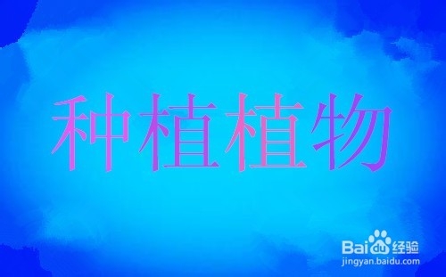 如何过一个充实的暑假