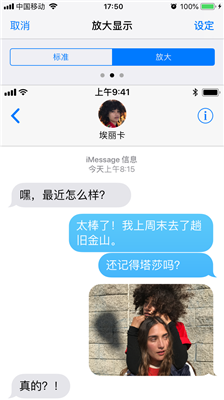 iPhone怎么把App图标和文字都放大？