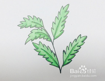 如何绘制艾草简笔画？