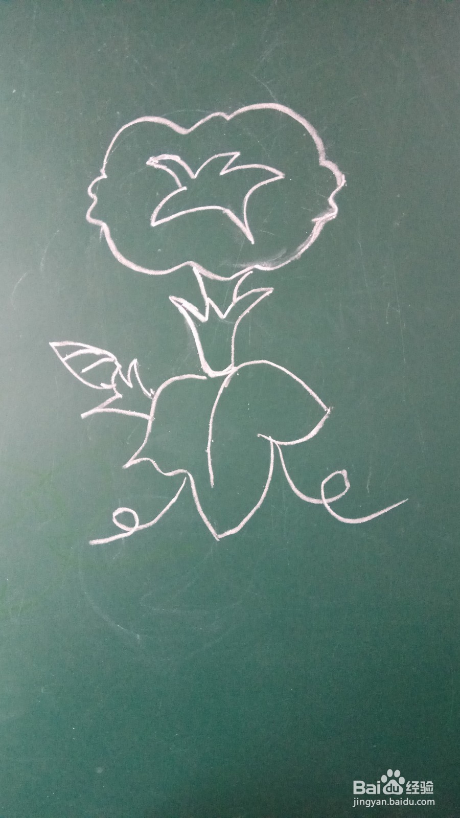 儿童简笔画牵牛花的画法