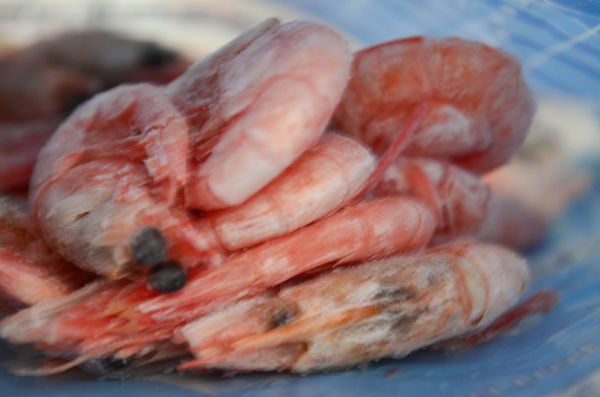 北极虾麦仁饭团