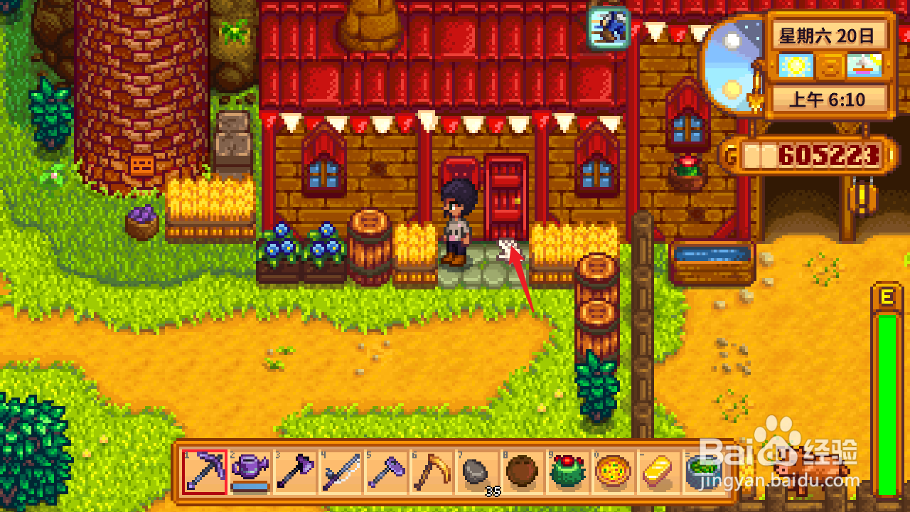 星露谷刘易斯的短裤在哪