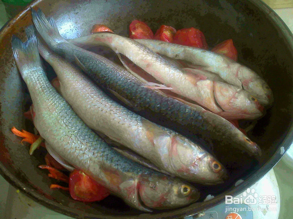 怎样做好西红柿焖梭鱼[姜丝胡萝卜丝西红柿打底]