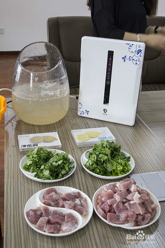 烹调前的食品净化