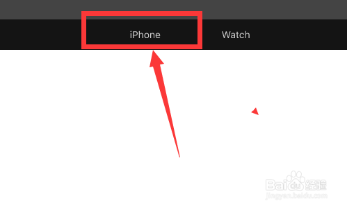 苹果新品iphone线上发布会怎么看