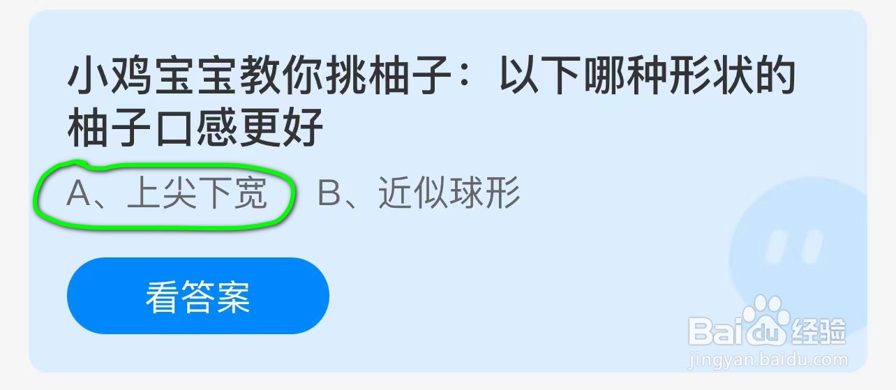 小鸡教你挑柚子哪种形状柚子口感好蚂蚁答案