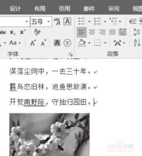 Word文档中插入图片