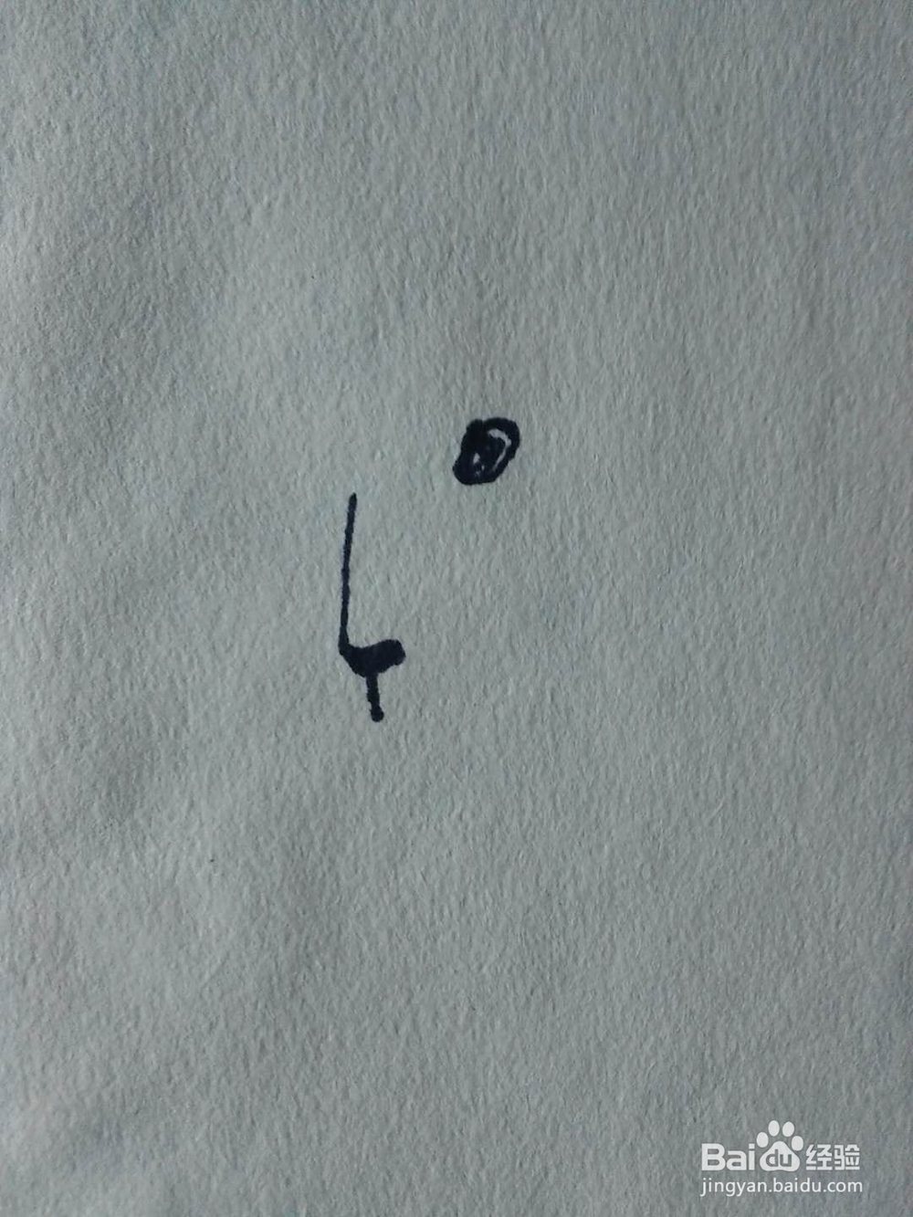 简笔画绵羊的画法