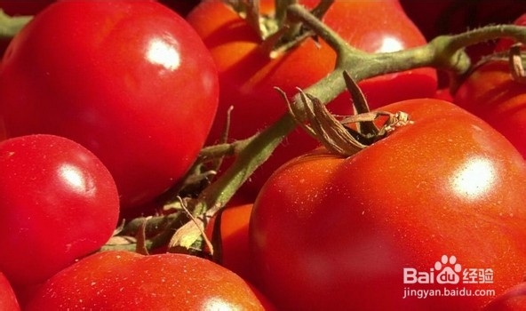 吃西红柿有什么好处?